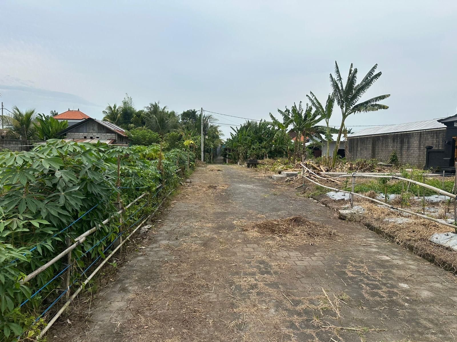Tanah Kavling Kedungu Tabanan Bali