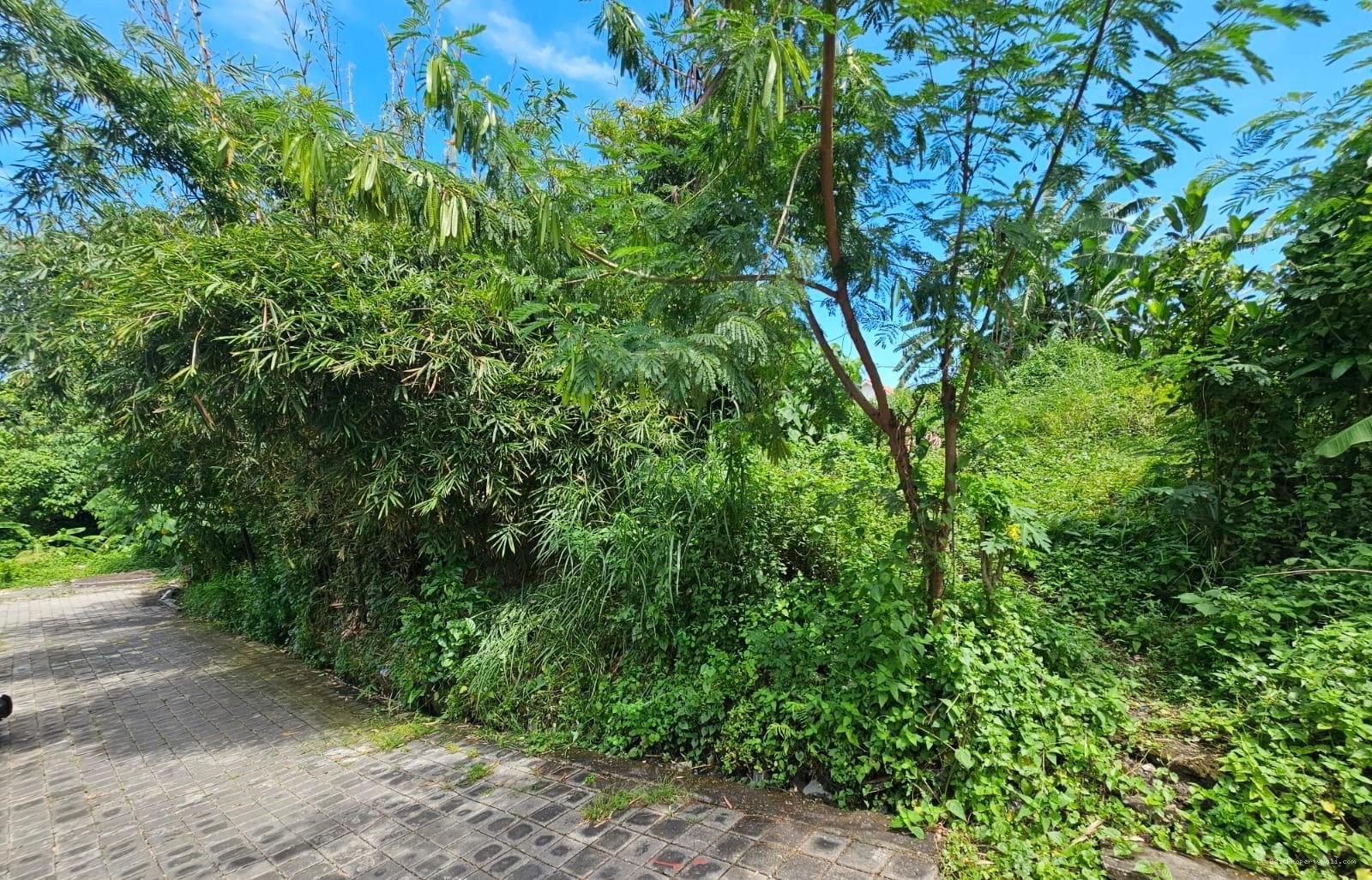 Tanah Padang linjong canggu