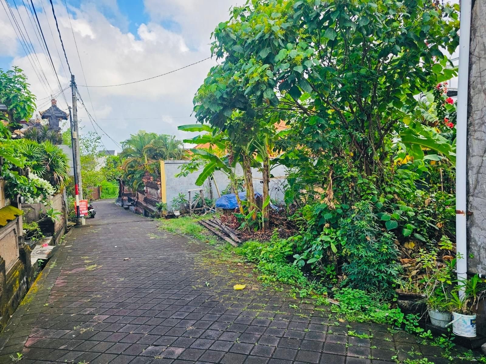 Tanah Berawa Canggu Kuta Utara Badung Bali