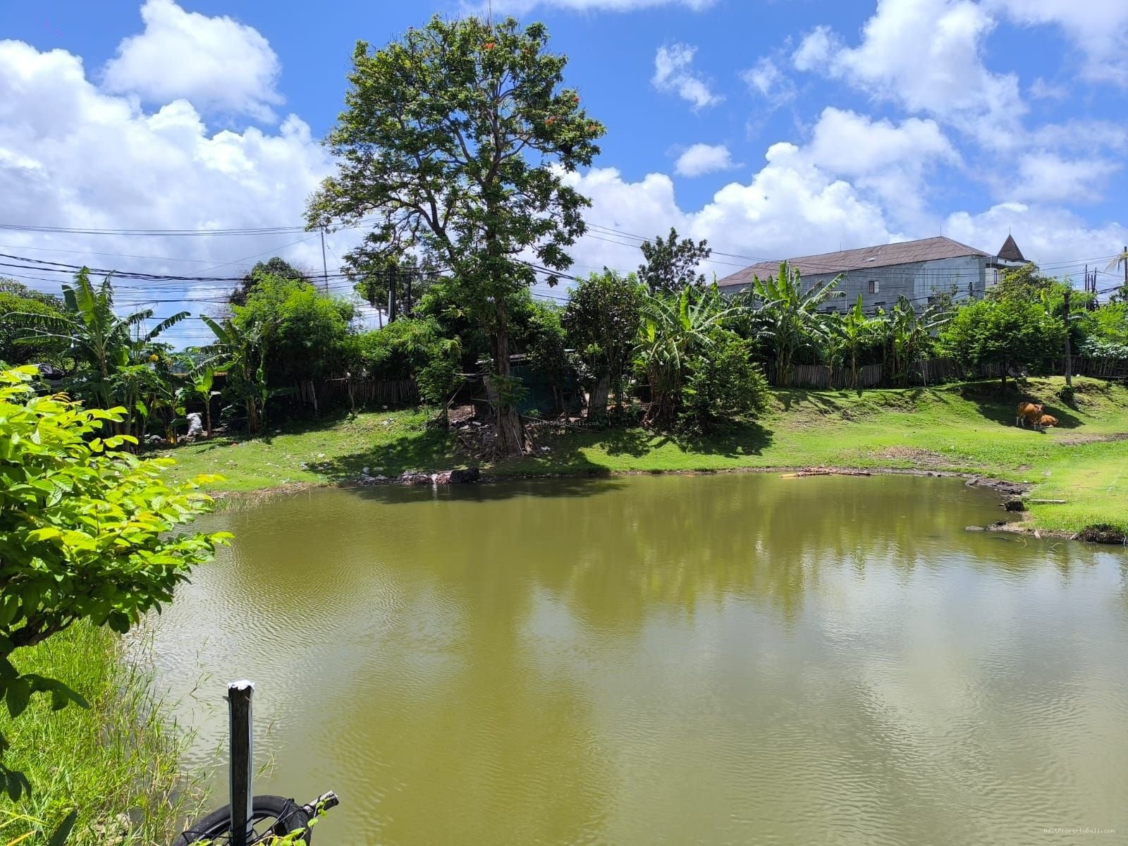 Tanah Murah Mahendradata Denapsar