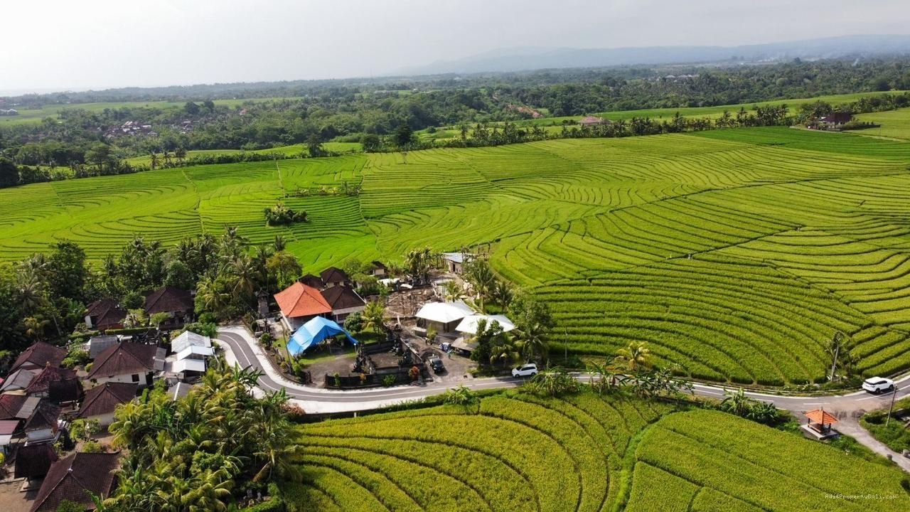 Tanah Murah Beraban Tabanan Bali