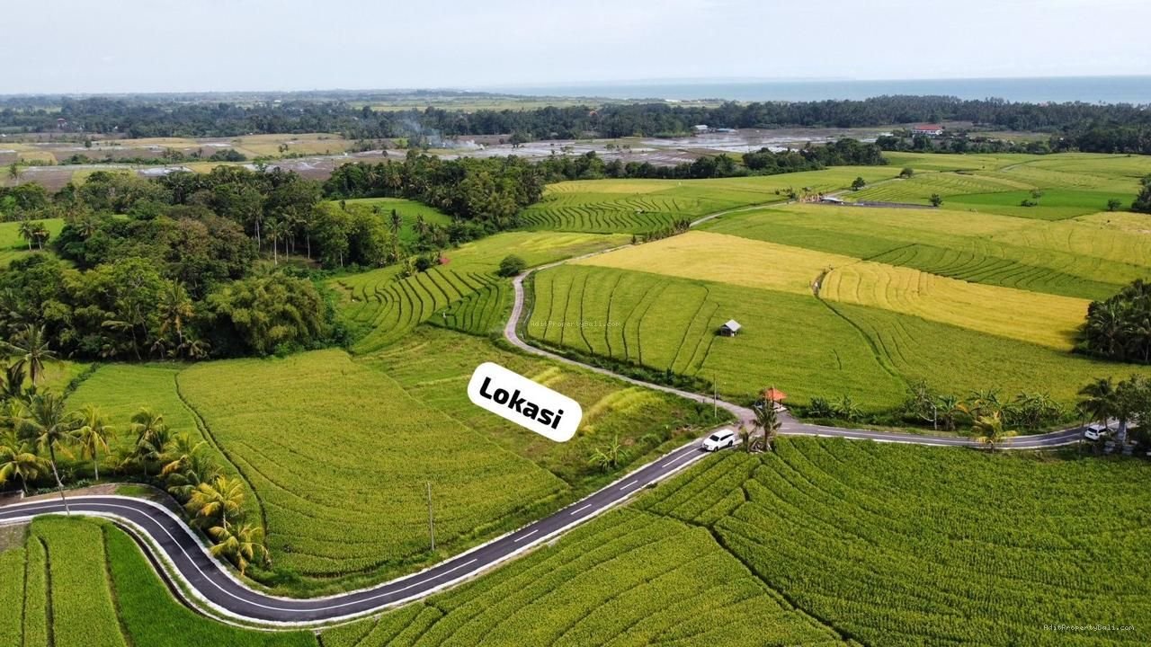 Tanah Murah Beraban Tabanan Bali