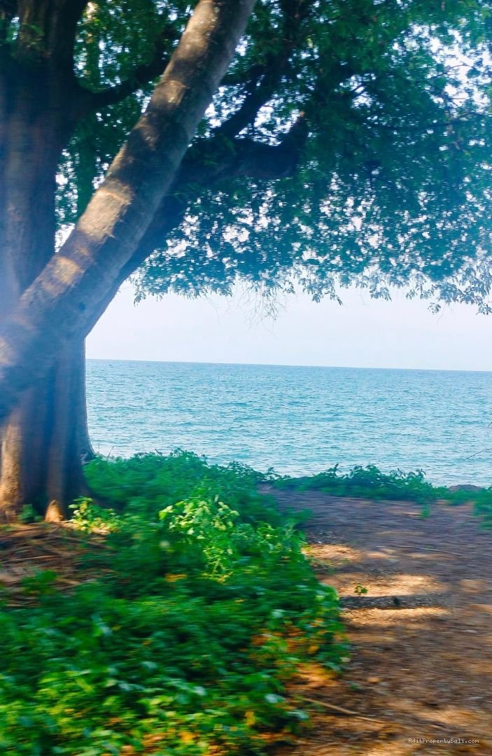 Tanah Murah Beach Front Kubutambahan Buleleng Singaraja Bali