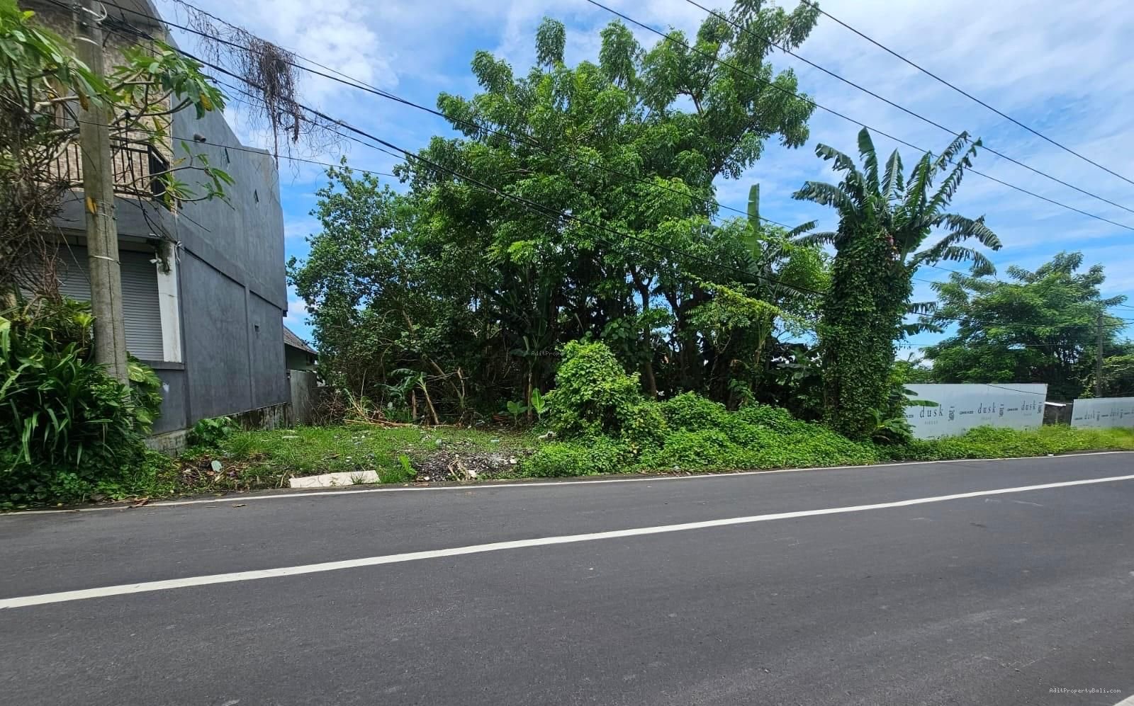 Tanah Tiying Tutul Pererenan Canggu Badung