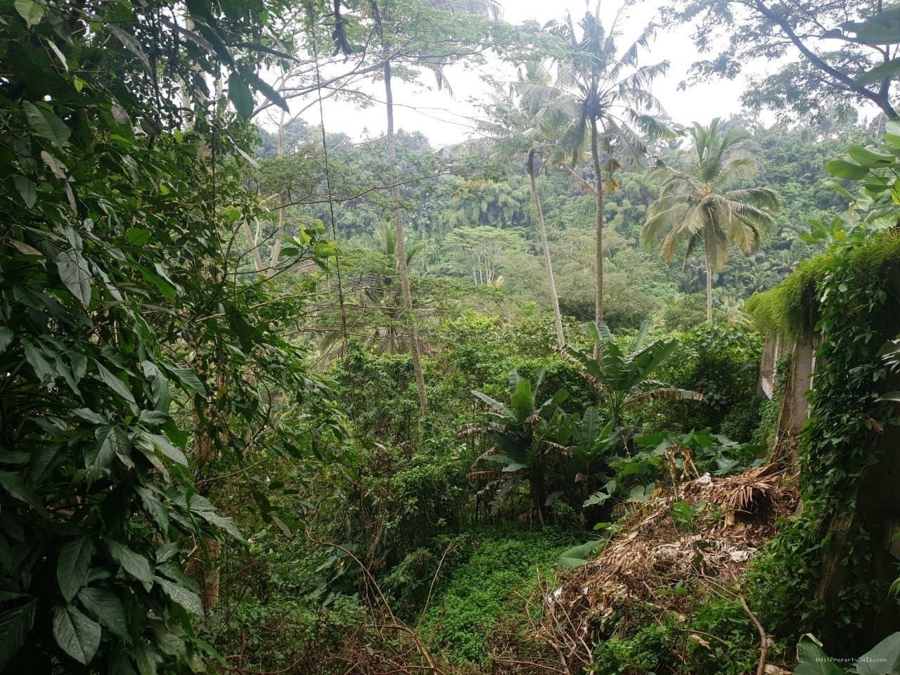 Tanah Los Sungai Kedewatan Ubud Gianyar