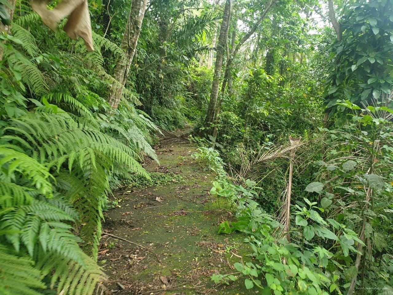 Tanah Los Sungai Kedewatan Ubud Gianyar