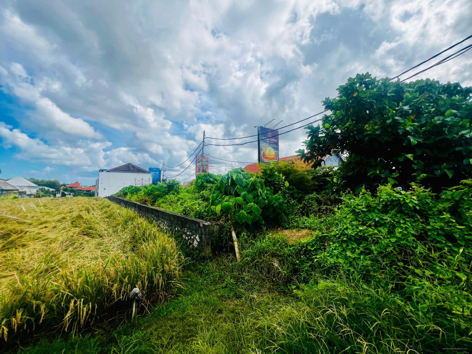 Tanah short cut berawa canggu