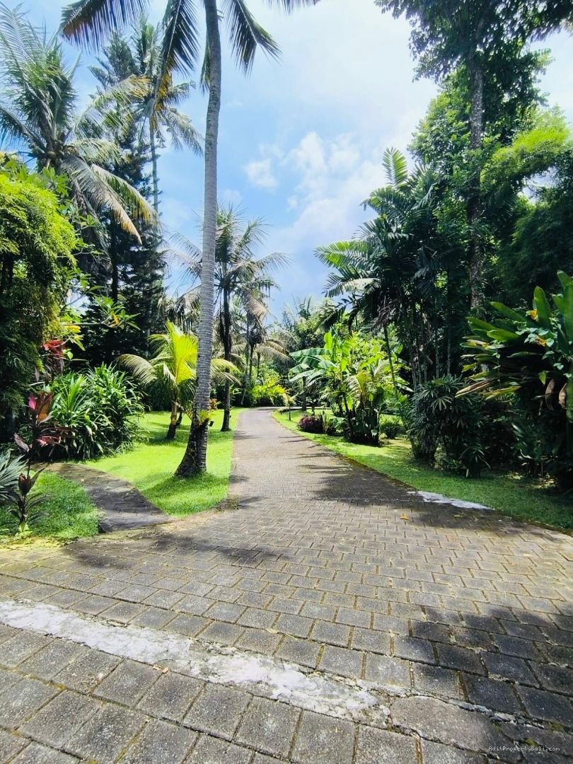 Villa beach front pantai bonian tabanan