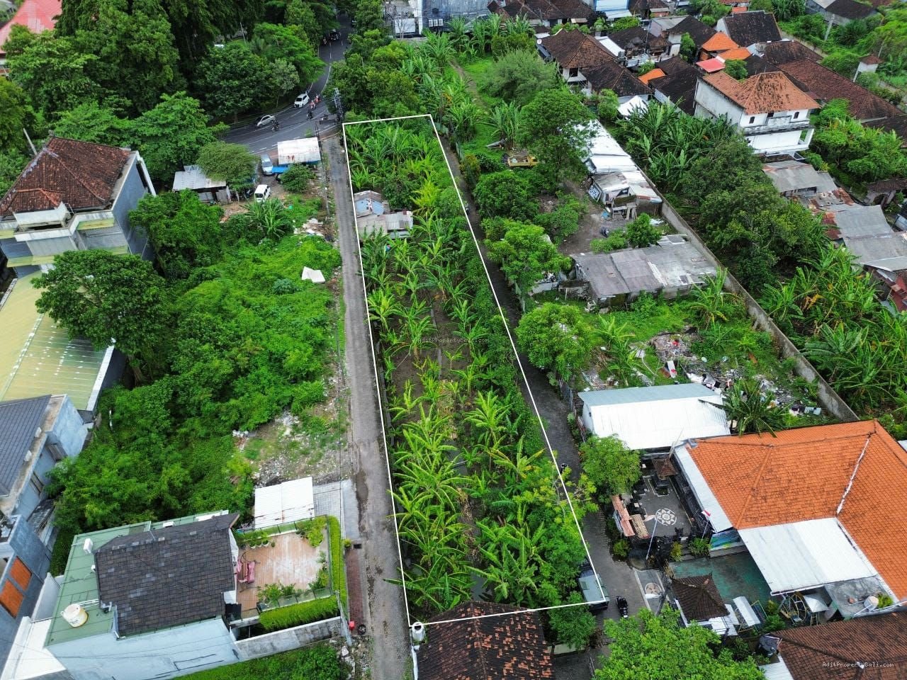 Tanah raya puputan renon