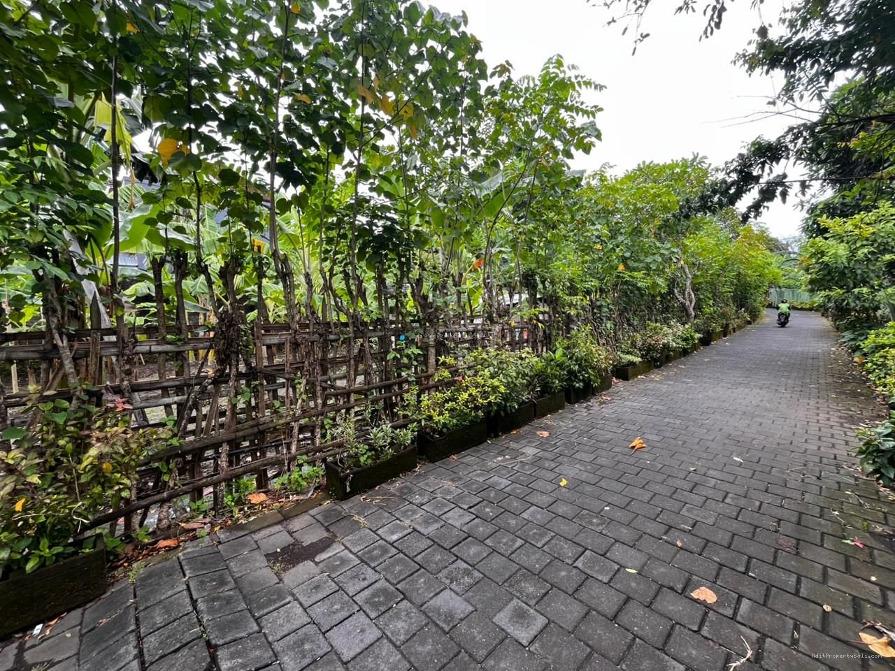 Tanah raya puputan renon