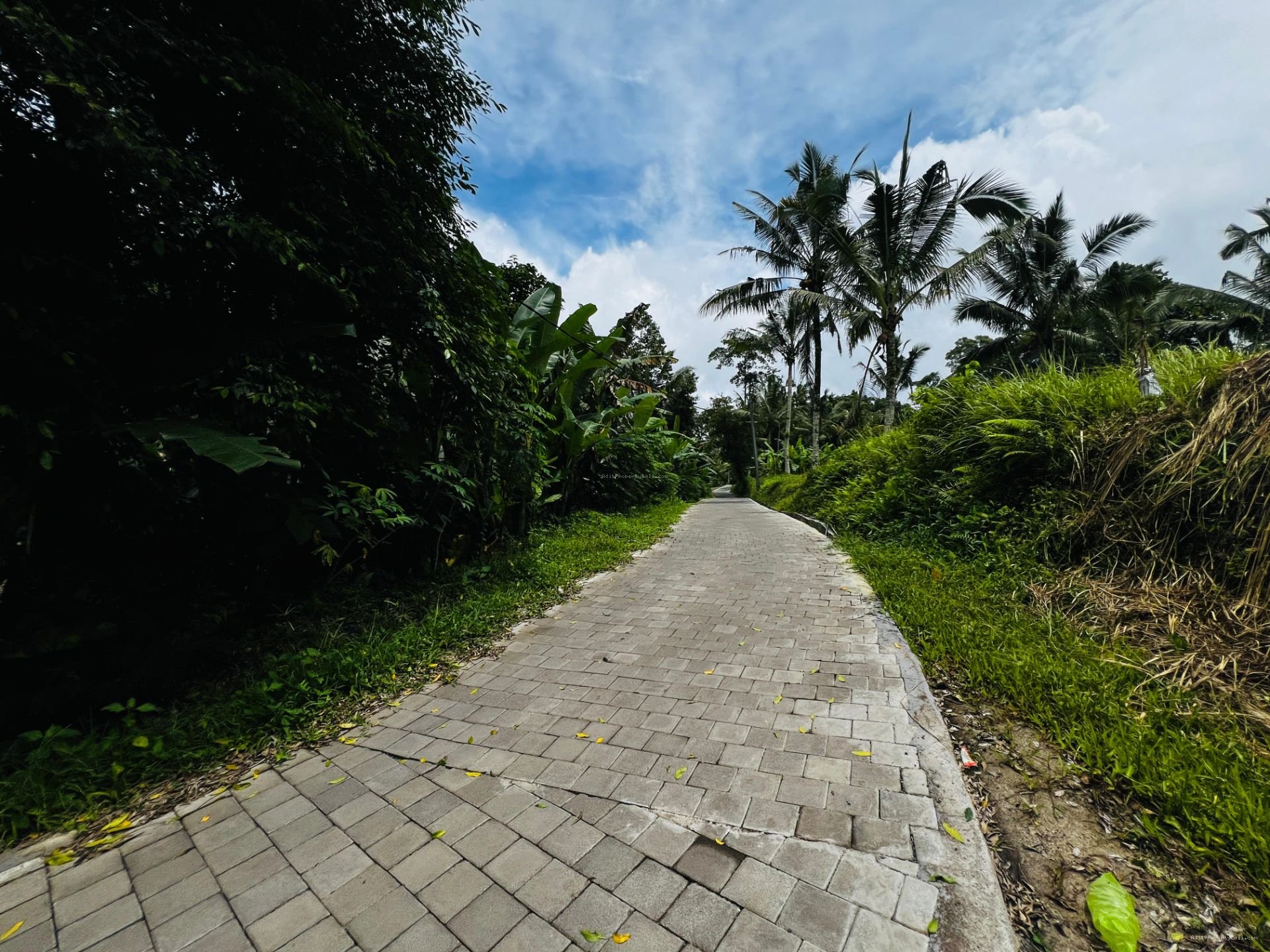 Tanah jungle payangan ubud bali