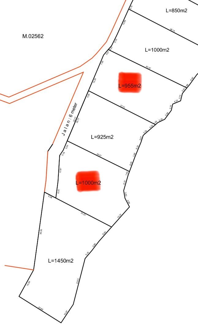 Tanah jungle payangan ubud bali