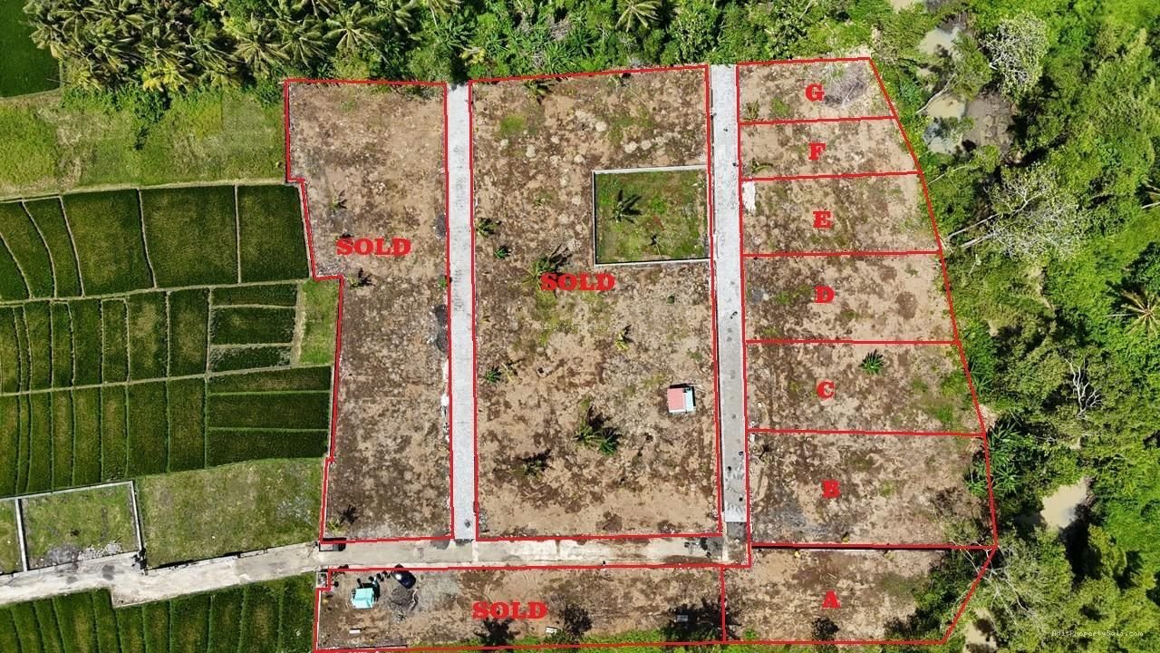 Tanah gebang gading beraban tabanan bali