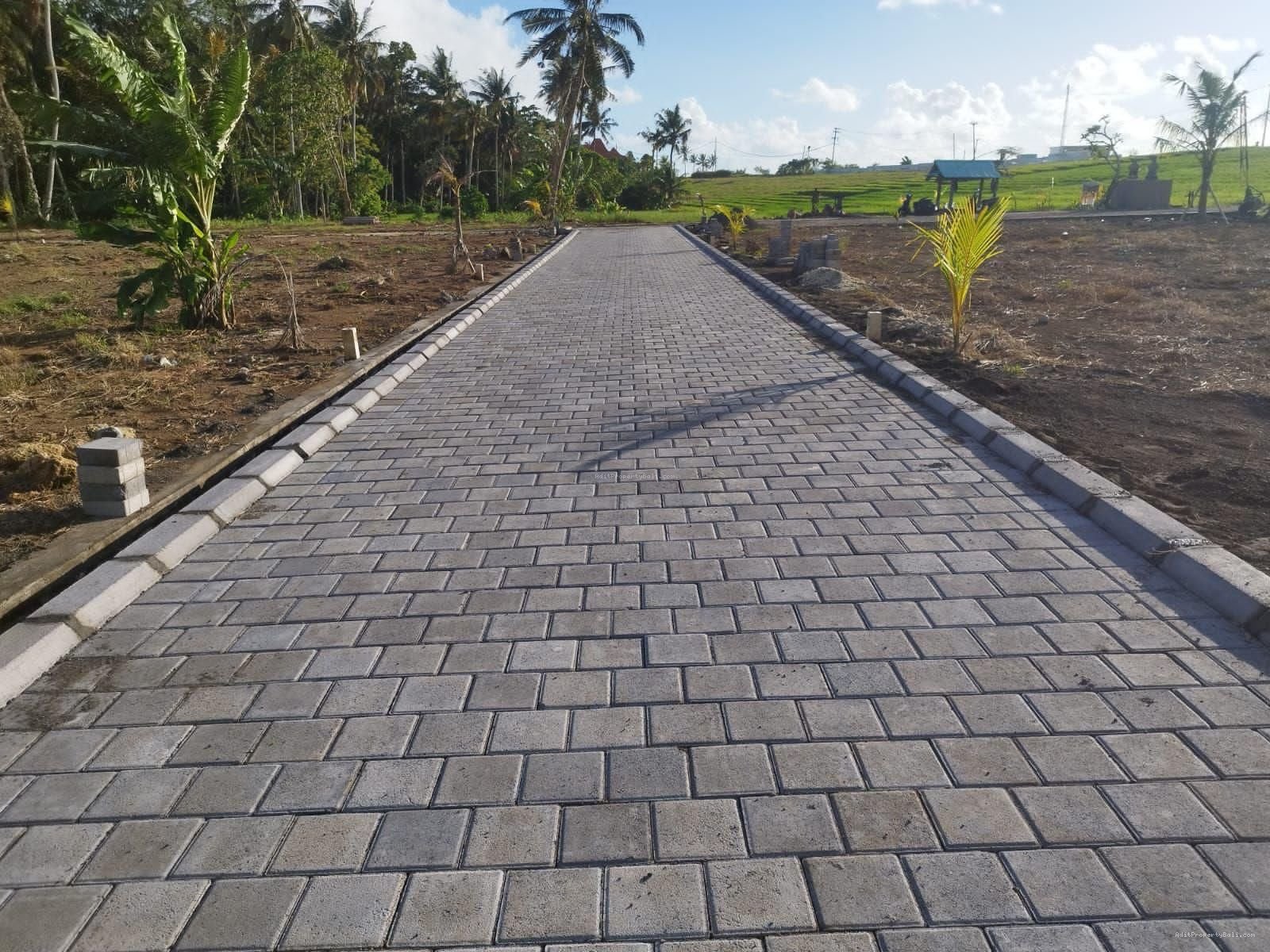 Tanah gebang gading beraban tabanan bali