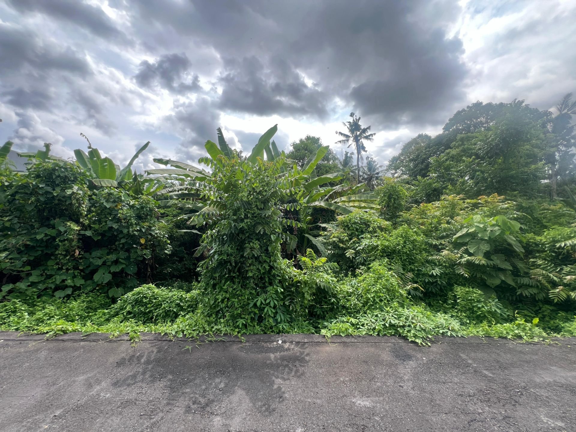 Tanah Singapadu Denpasar Bali