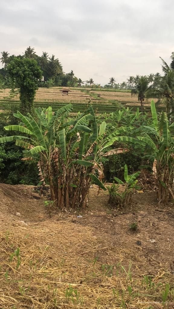 Tanah Singapadu Denpasar Bali