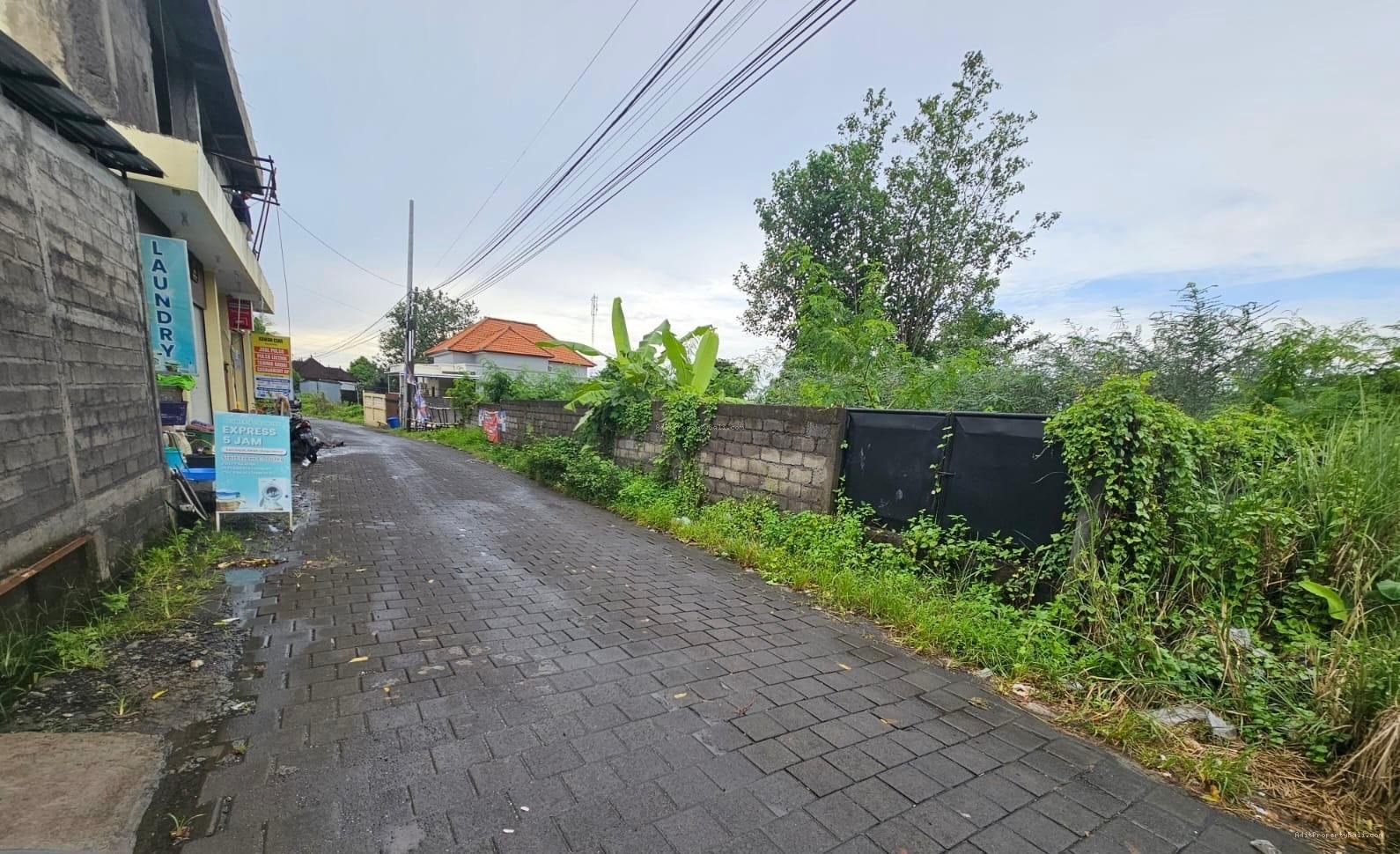 Tanah lingkungan bagus munggu