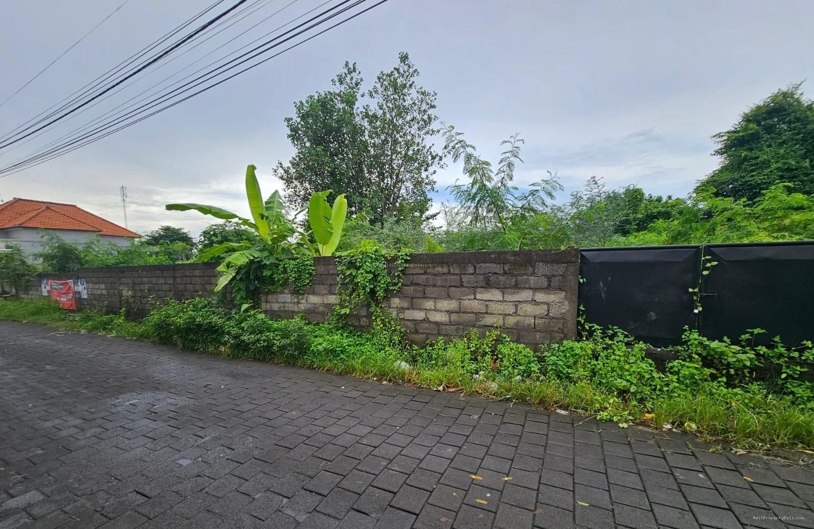 Tanah lingkungan bagus munggu