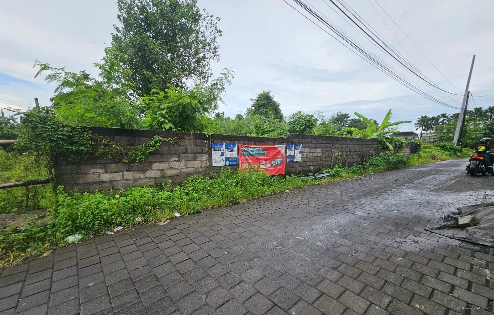 Tanah lingkungan bagus munggu