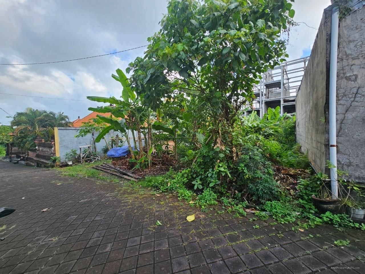 Tanah Berawa Canggu Badung Bali