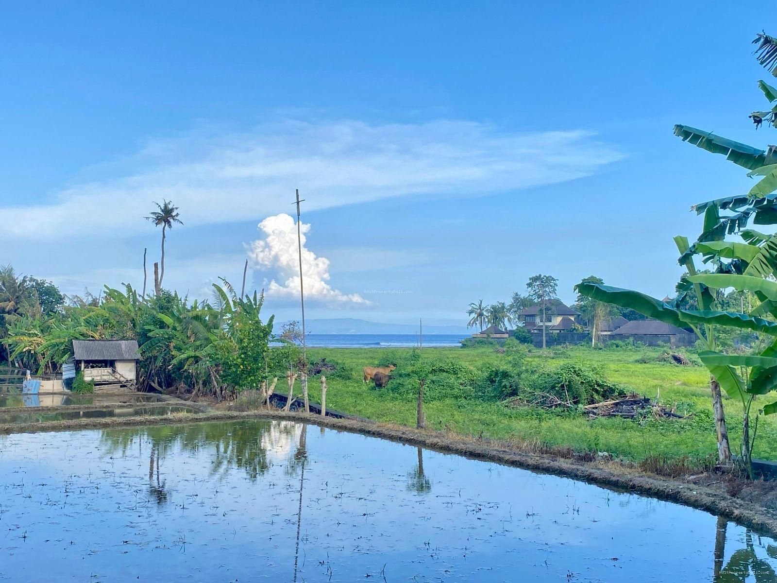 Tanah ocean sea view pantai rangkan ketewel