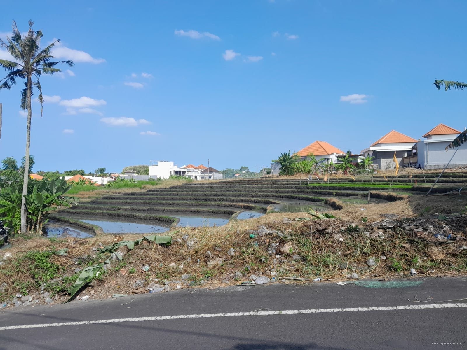 Tanah View Sawah Kayu Tukang Utara Canggu Bali