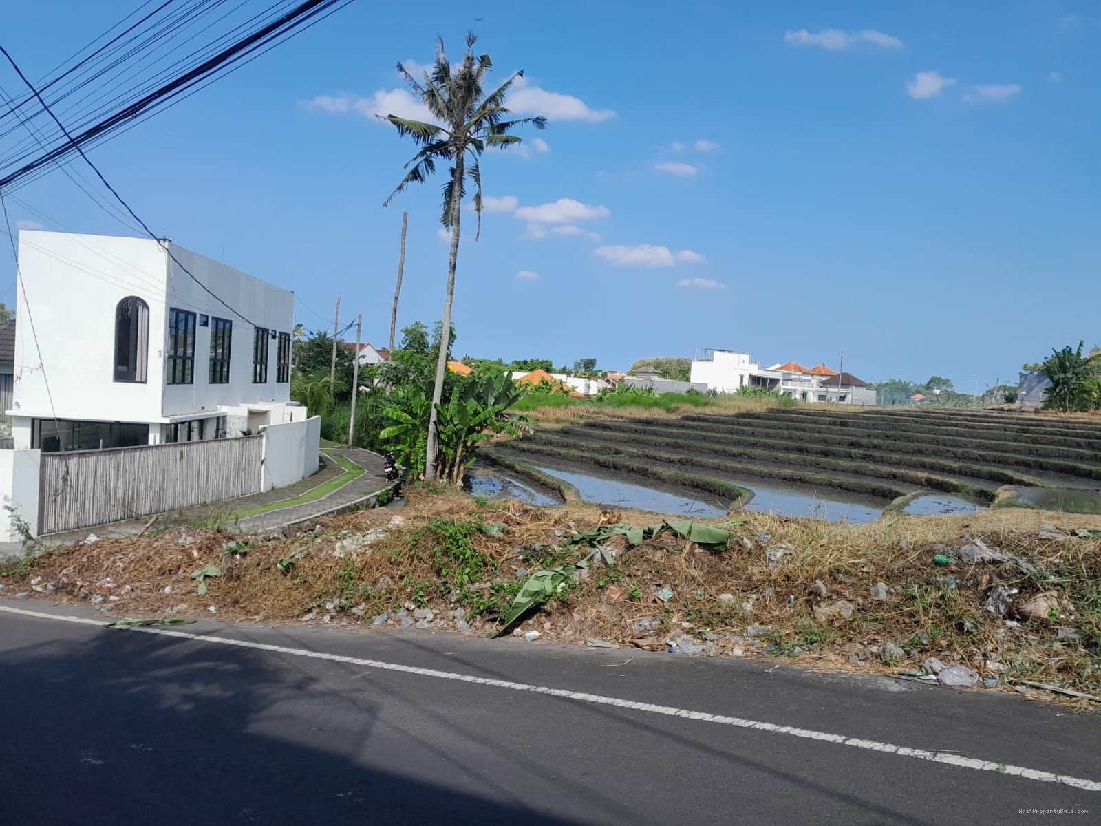 Tanah View Sawah Kayu Tukang Utara Canggu Bali