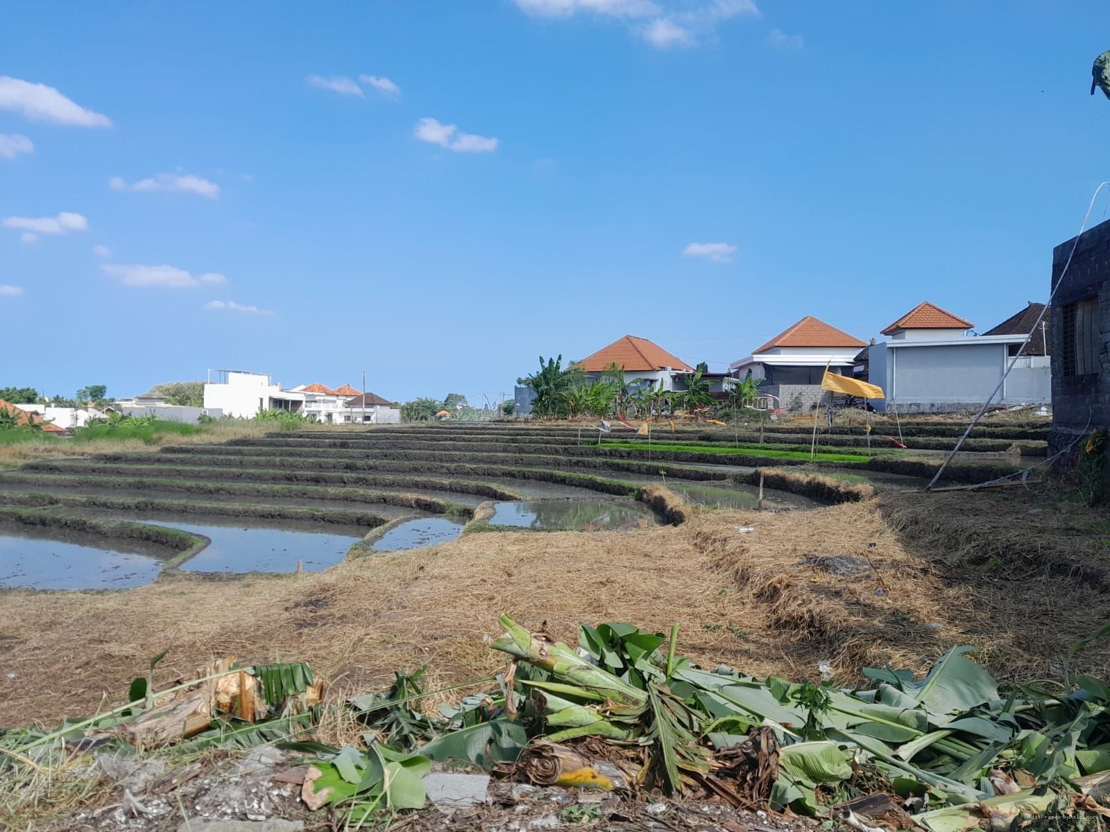 Tanah View Sawah Kayu Tukang Utara Canggu Bali