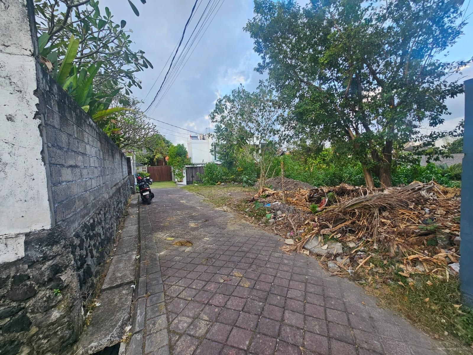Tanah premium pererenan canggu bali