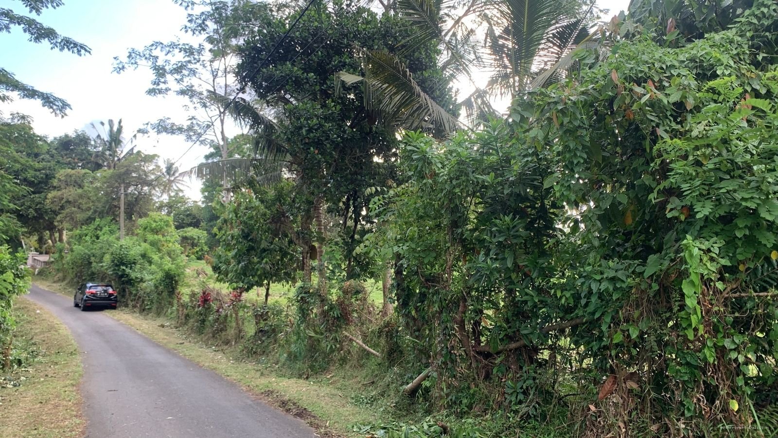 Tanah Bengekel Sari Selemadeg Barat Tabanan
