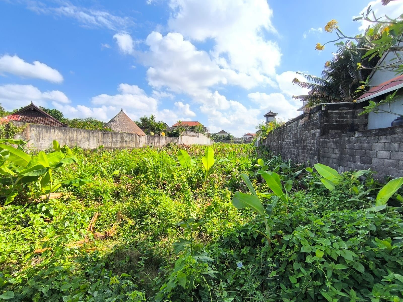 Tanah belong seminyak bali