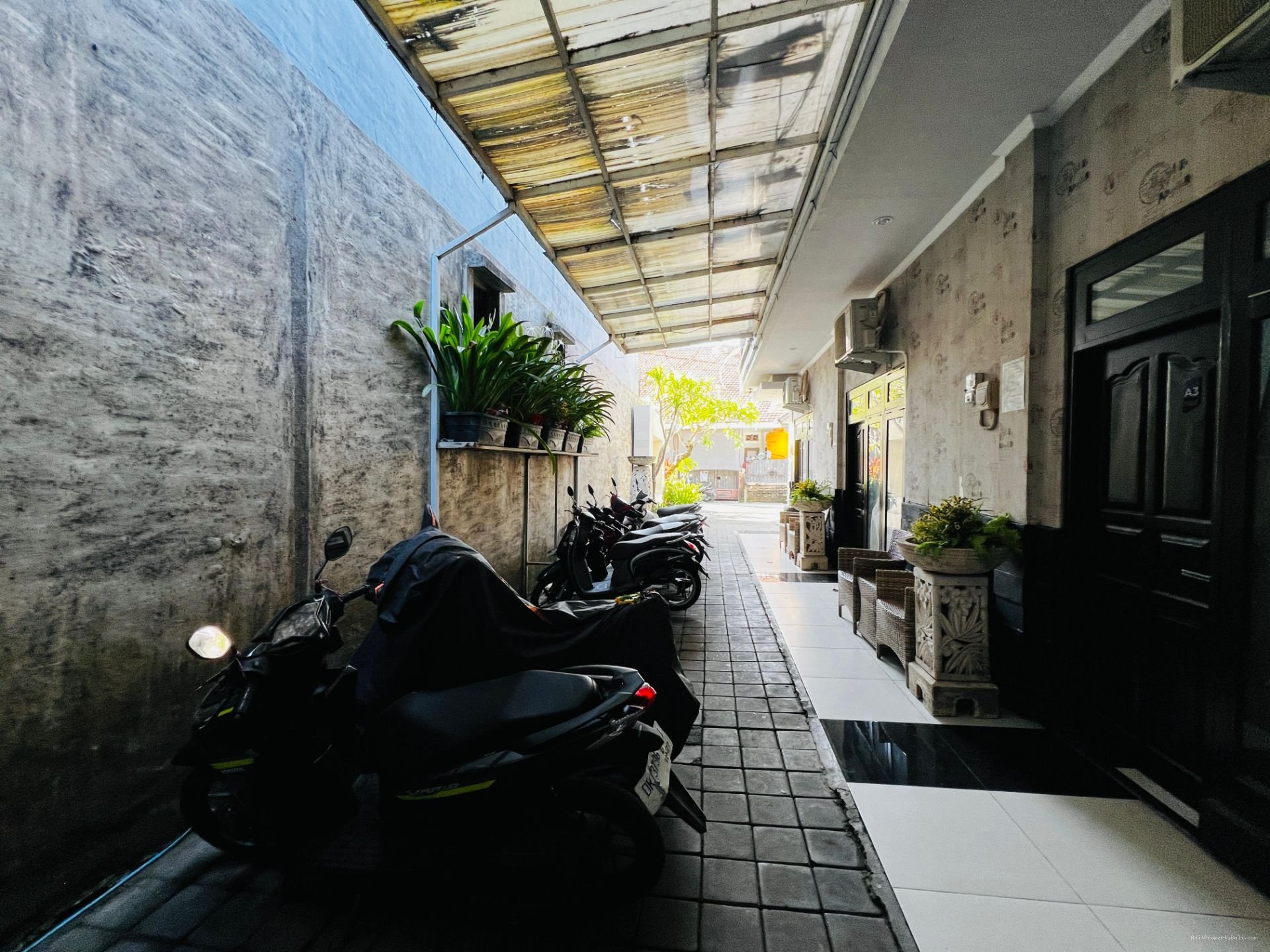 Kos Gelogor Carik Denpasar Selatan