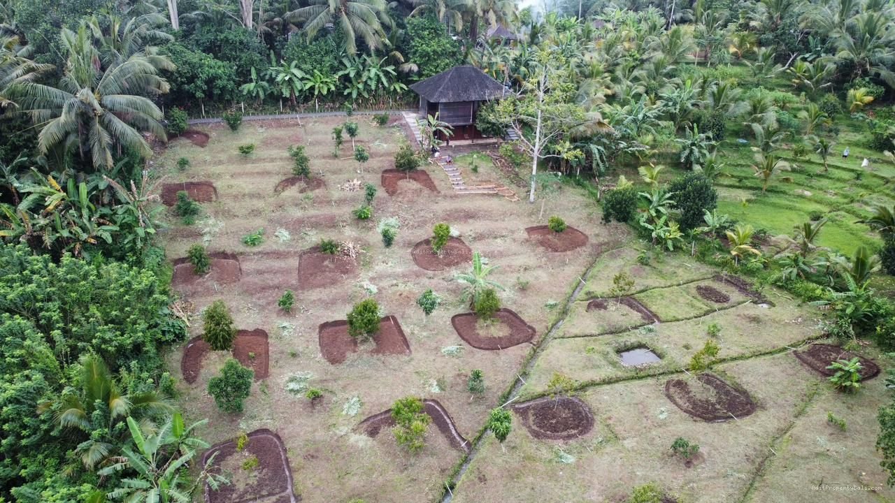 Tanah Desa Wisata Megati Sesandan Tabanan Bali