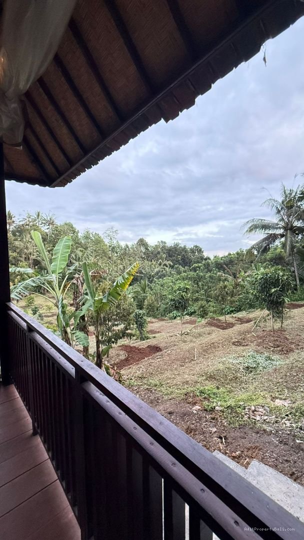 Tanah Desa Wisata Megati Sesandan Tabanan Bali
