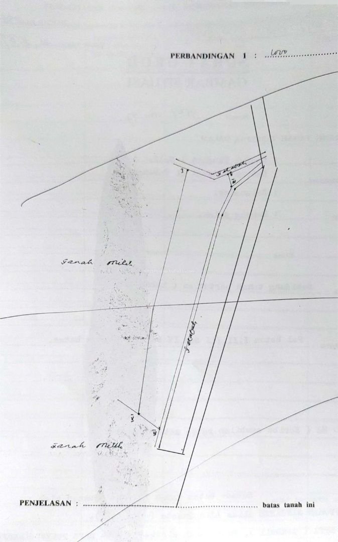 Tanah Gunung Salak Tabanan
