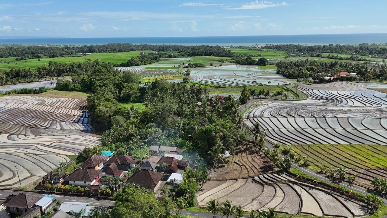 Tanah beraban bali