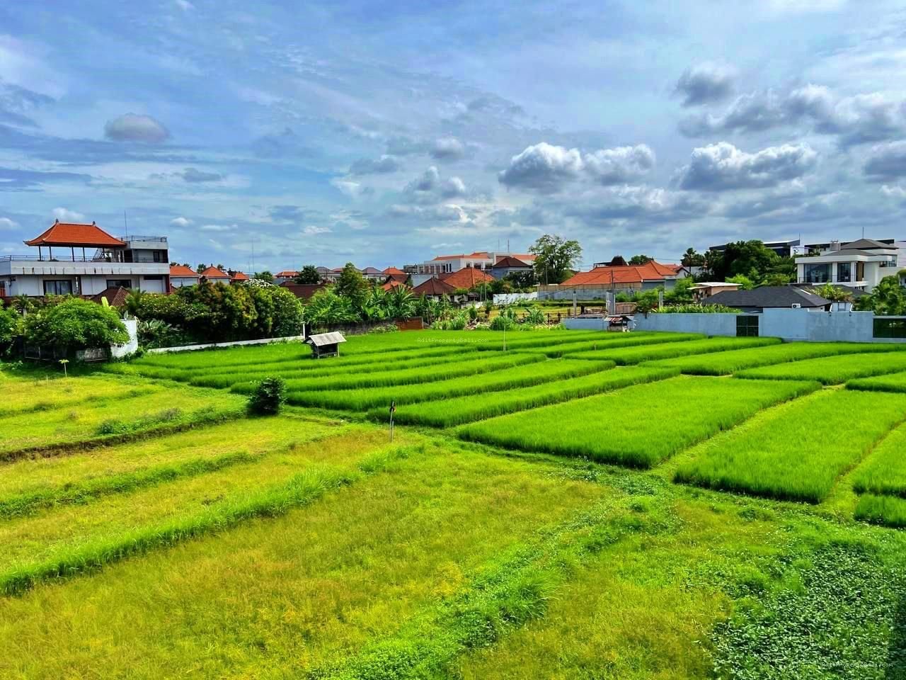 Villa View Sawah Bumbak Kerobokan Badung Bali