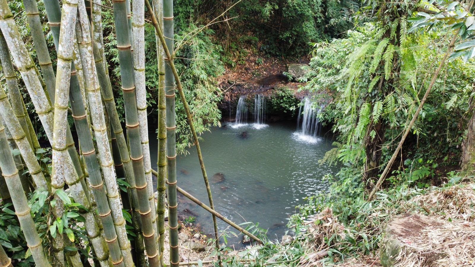 Tanah Tepi Air Terjun Wisata Gunung Salak Selemadeg Tabanan Bali