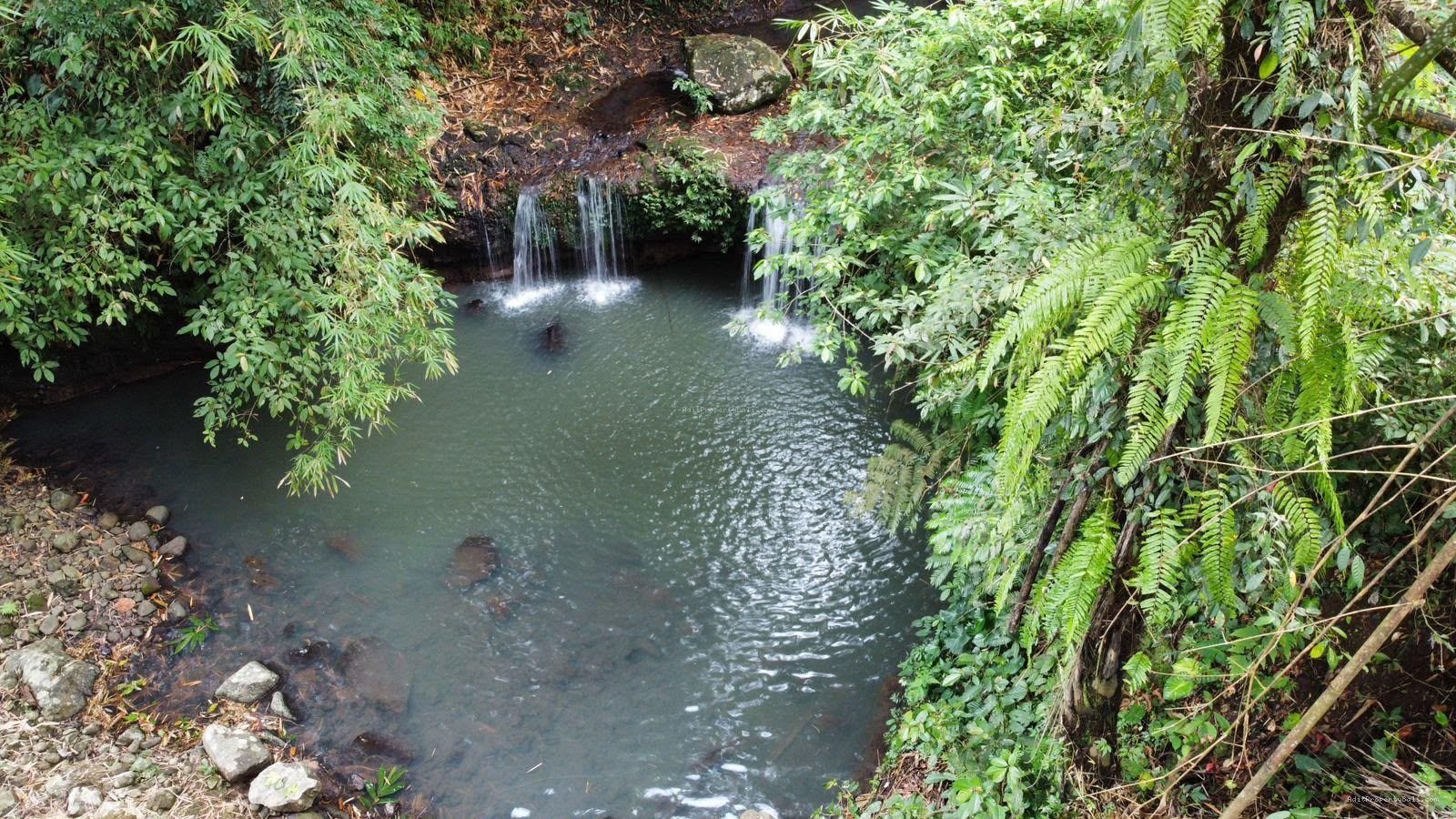 Tanah Tepi Air Terjun Wisata Gunung Salak Selemadeg Tabanan Bali