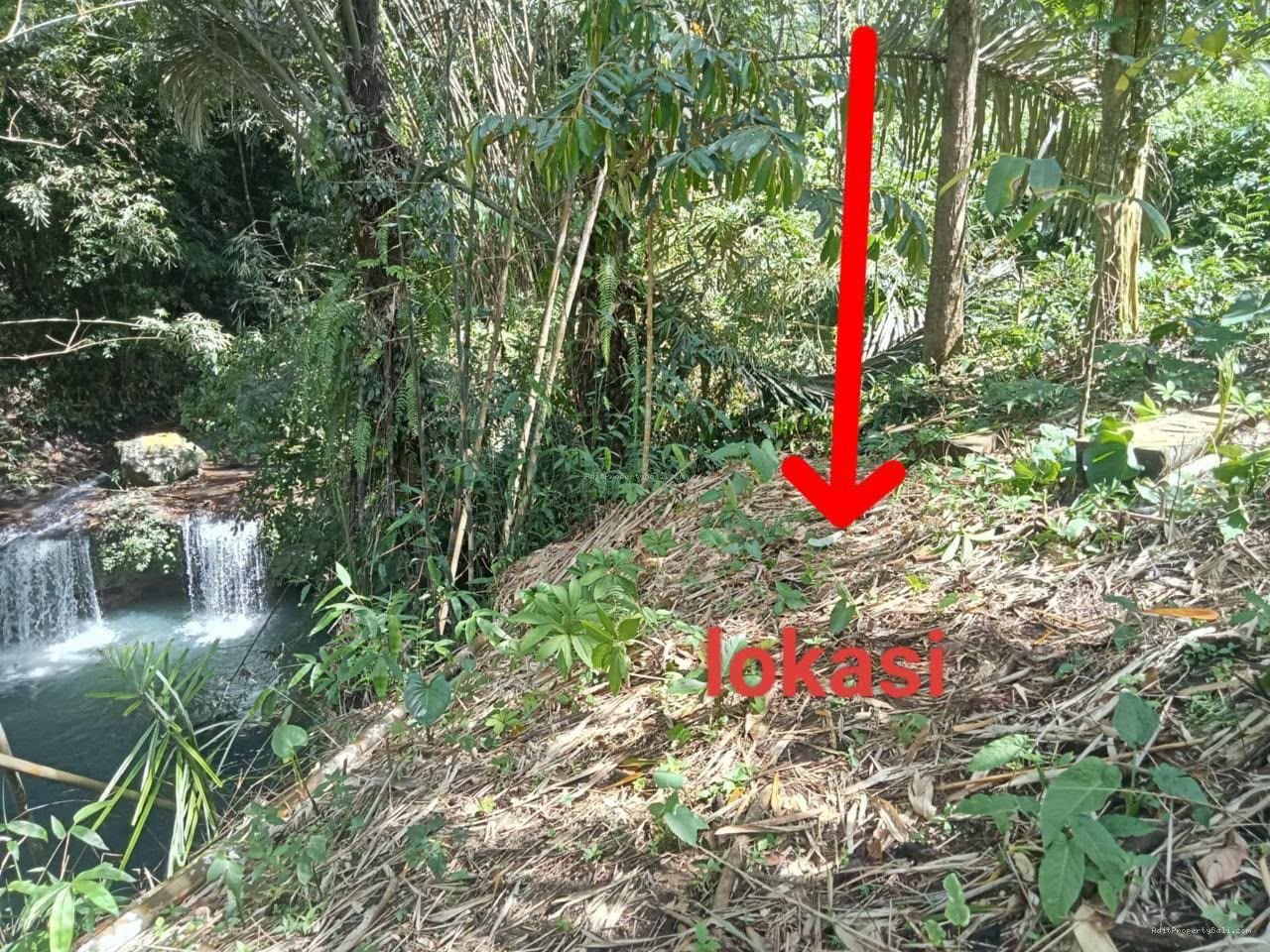 Tanah Tepi Air Terjun Wisata Gunung Salak Selemadeg Tabanan Bali