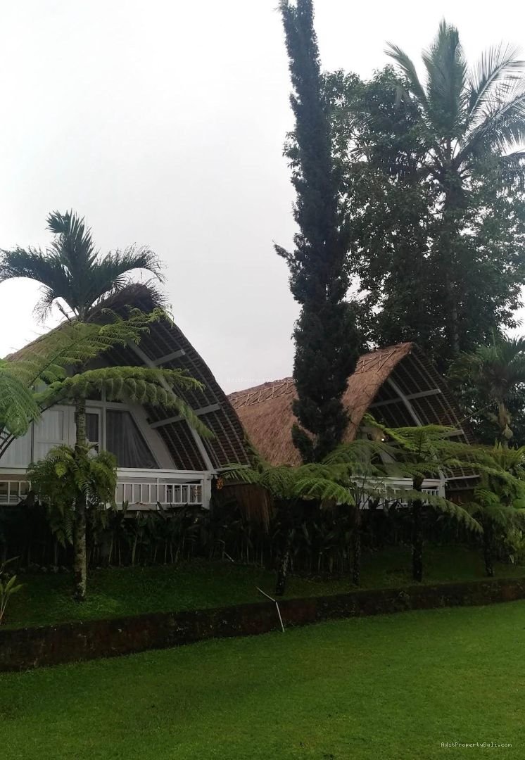 Villa view jungle river baturiti tabanan