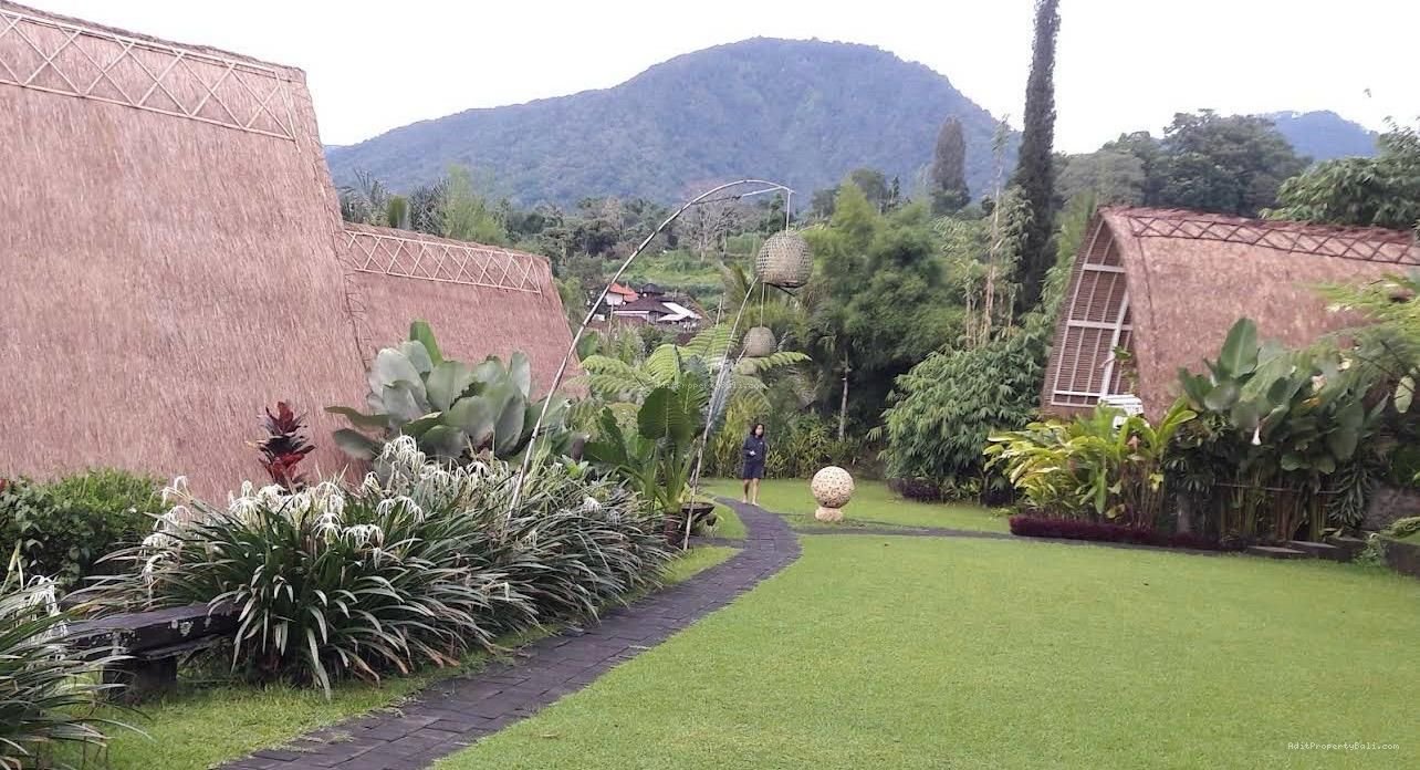 Villa view jungle river baturiti tabanan
