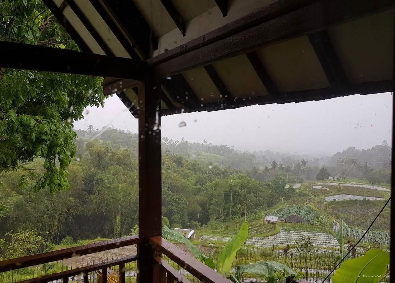 Villa view jungle river baturiti tabanan