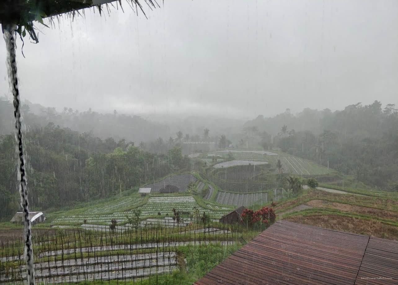 Villa view jungle river baturiti tabanan