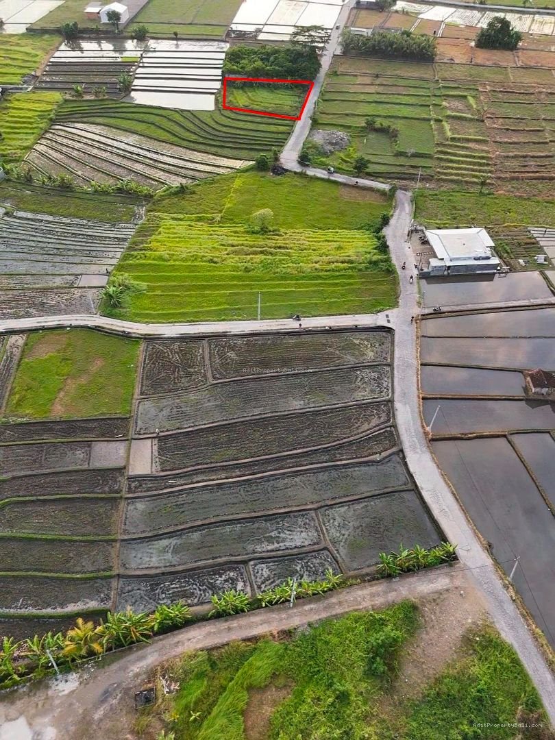Tanah view sawah pantai nyanyi tabanan