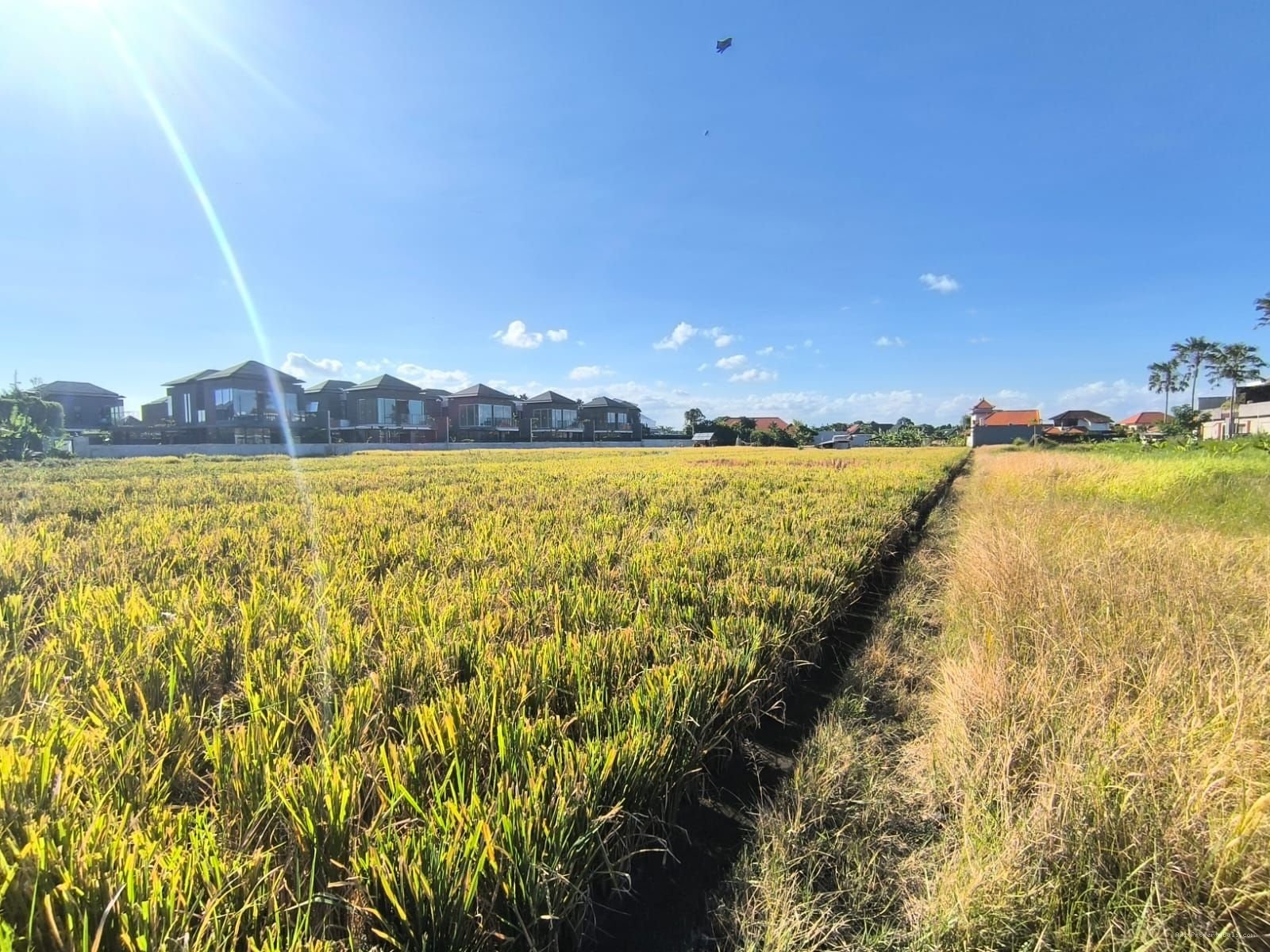 Tanah premium batubelig kerobokan