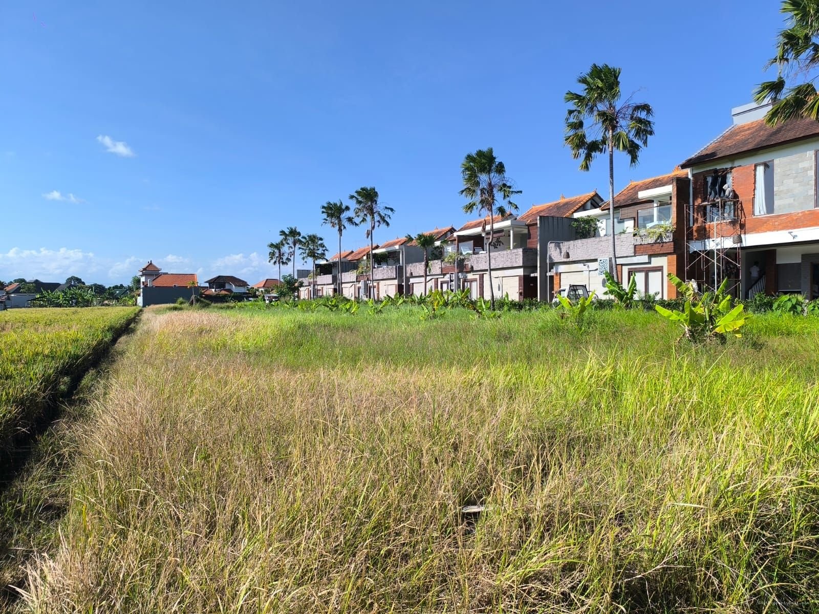 Tanah premium batubelig kerobokan