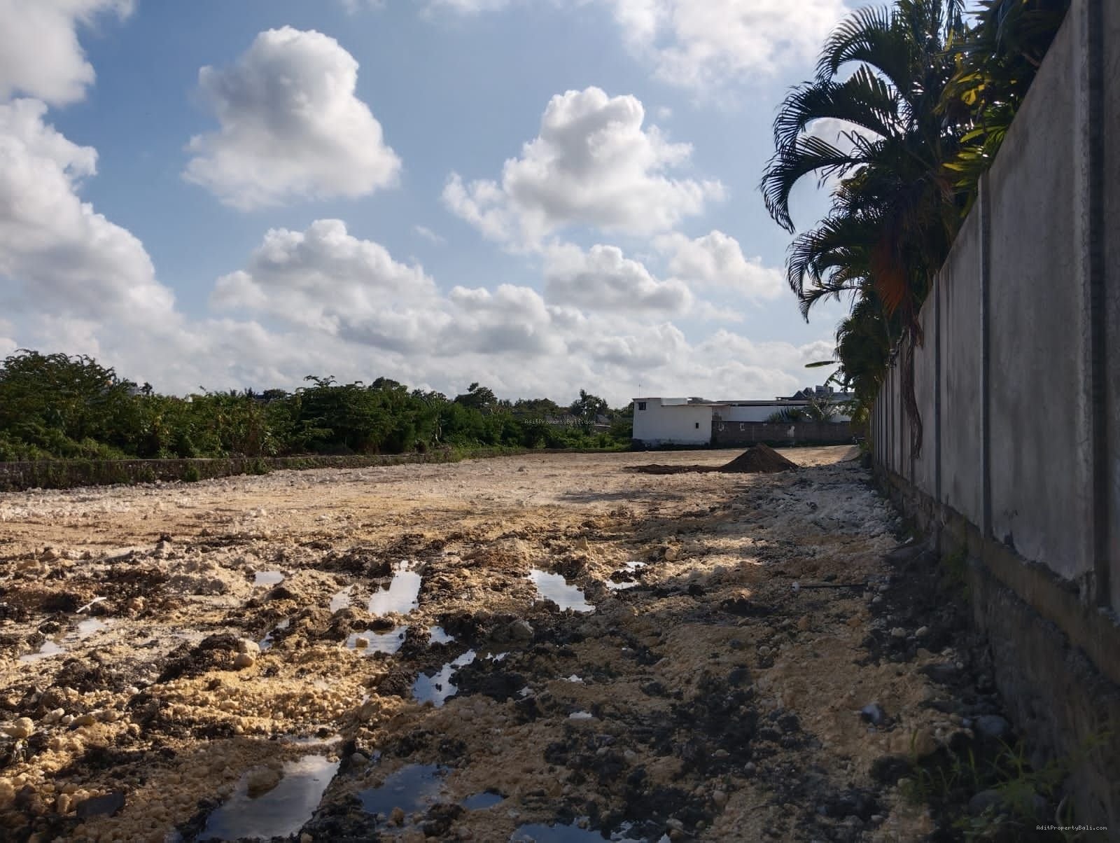 Tanah pantai petitenget kerobokan