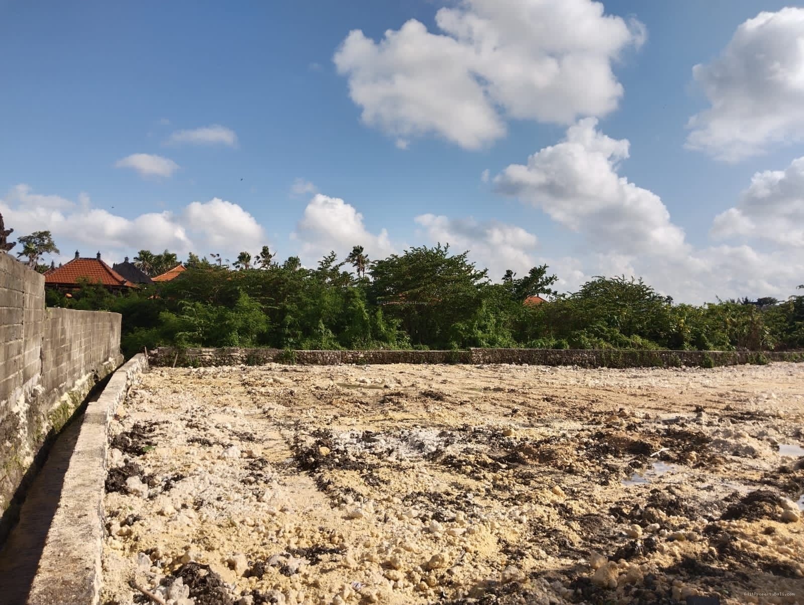 Tanah pantai petitenget kerobokan