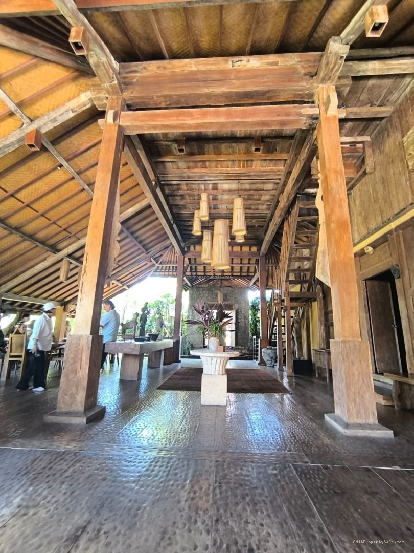 Villa murah berawa canggu